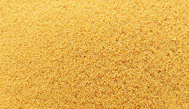 农业加工检查中的关键环节与实际应用